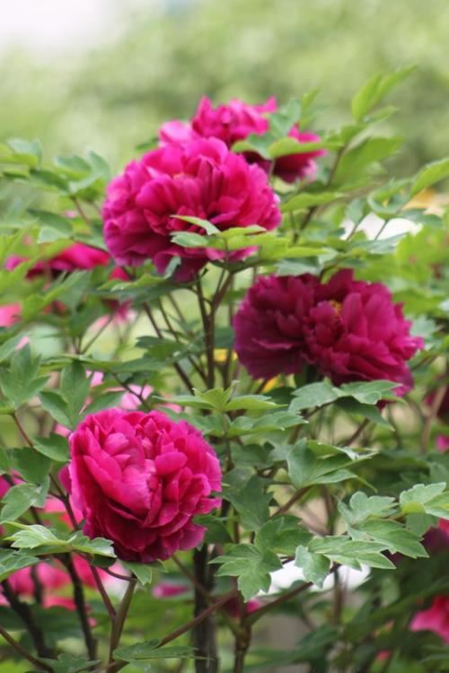 你的拯救者可能就是你自己