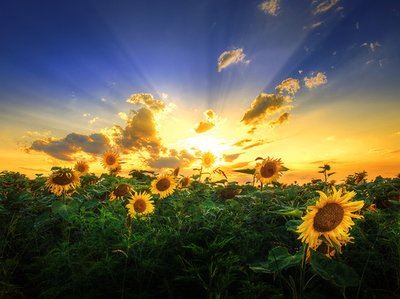 初一的日子很温馨