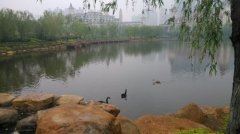 努力，需要理由