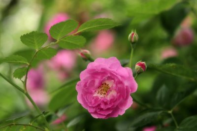 给我一份社会的安全感。