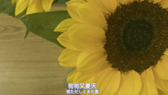 好好的爱着她吧!!!