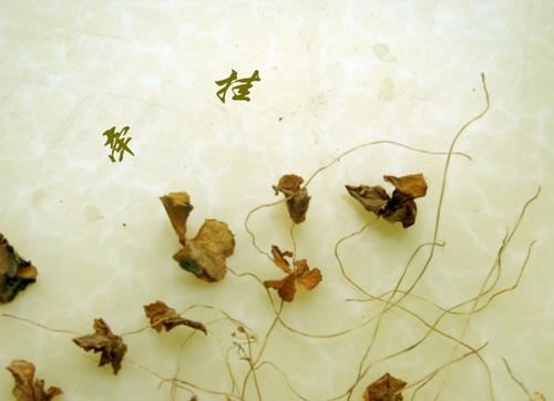 以微笑让生活更美好