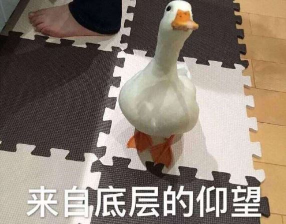 初二新生活，新起点