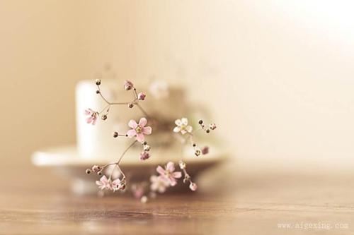 你在天涯,我在海角