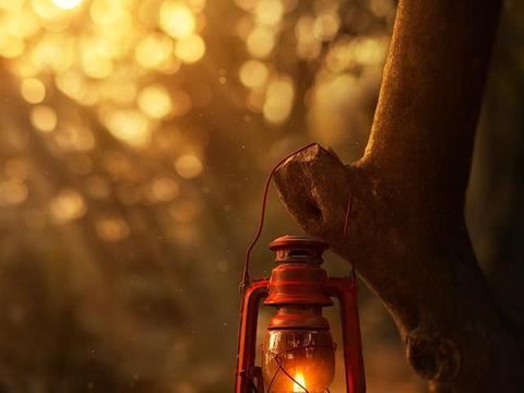 清晨，拈一抹诗的语言