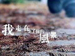 终生难忘的生日