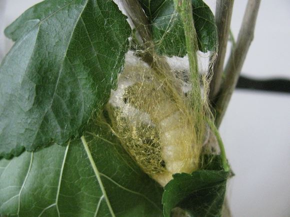 从我做起，助人为乐