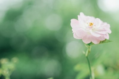 幽默笑话《诙段子:异想天开》