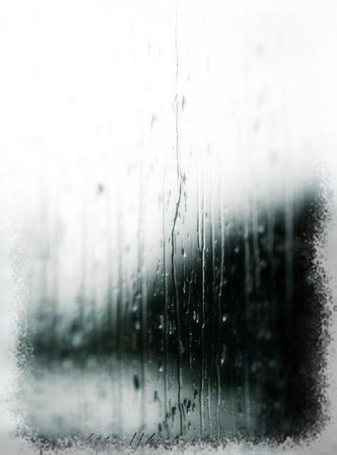 贵族小姐驾到,第二话