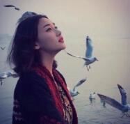 小动物的奋斗之路