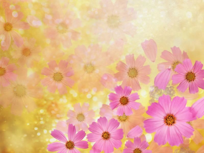 谢谢你，对不起！