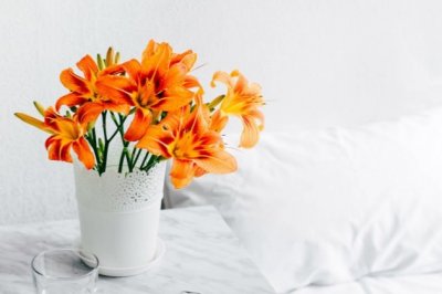 照亮黑暗的火炬