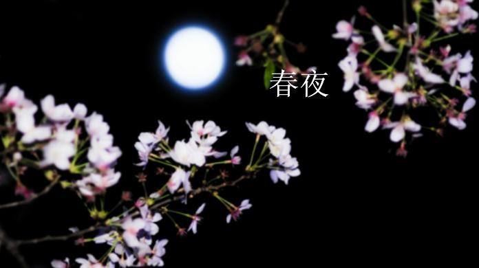 你是我今生无法拥有的相遇