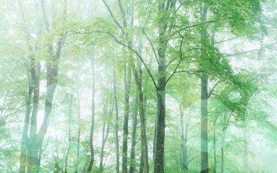 民间故事《相望同千里》