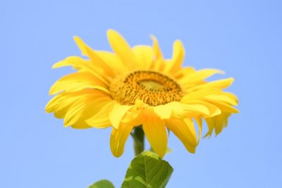 闲坐灯下,亲情润心