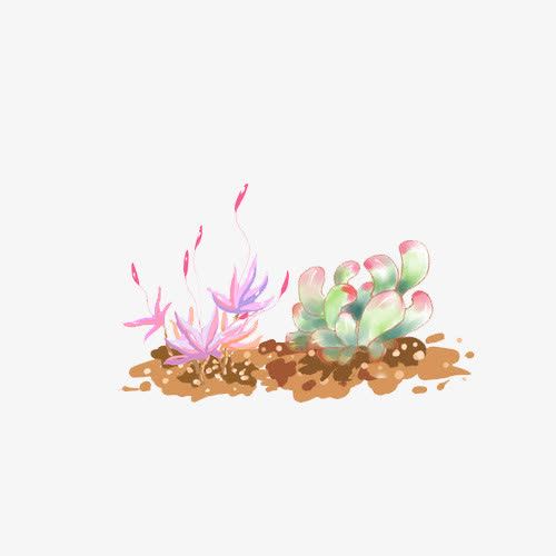 我用喝一杯咖啡的时间等你