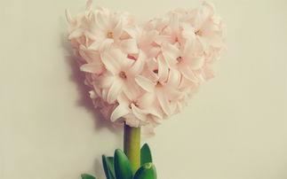 感动常在心间 -- 康美之恋