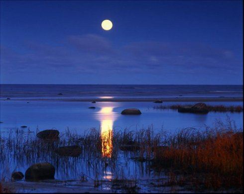 如果再回到从前