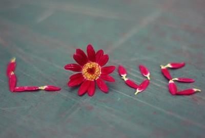 为了约翰的女儿