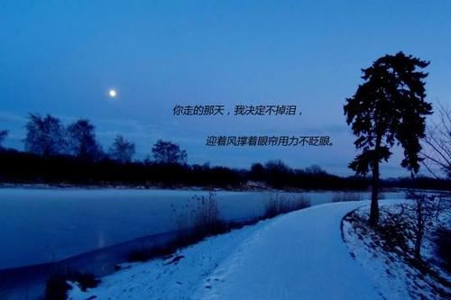 科技的梦想之翼