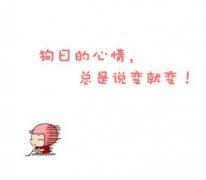 一个美妙的世界