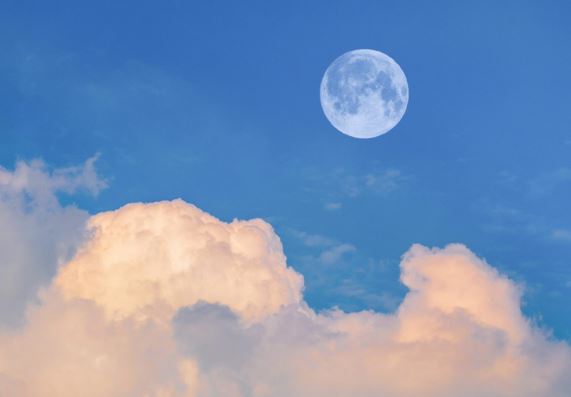 花开花落,人生转瞬