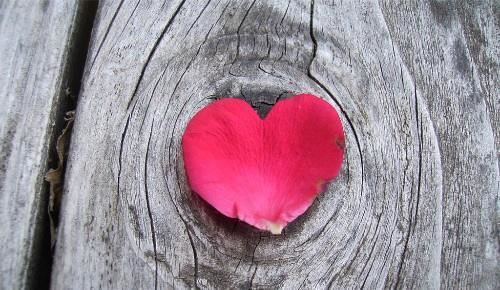 幸福长大——一个小女孩的成长故事