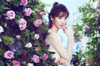 好奇的探索——一段冒险之旅