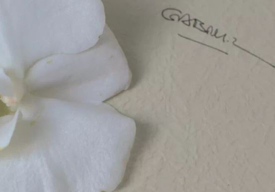 你在他乡还好吗