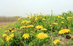 无闻无见名言解读