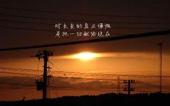 紫微大帝于占起的极致文学写作简论