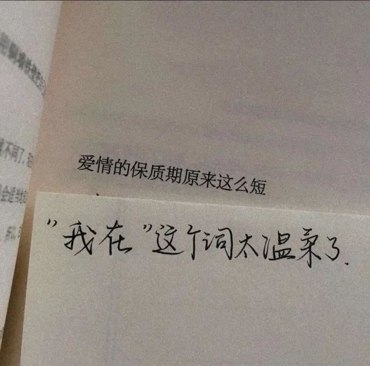 谜一样的我，迷恋小说