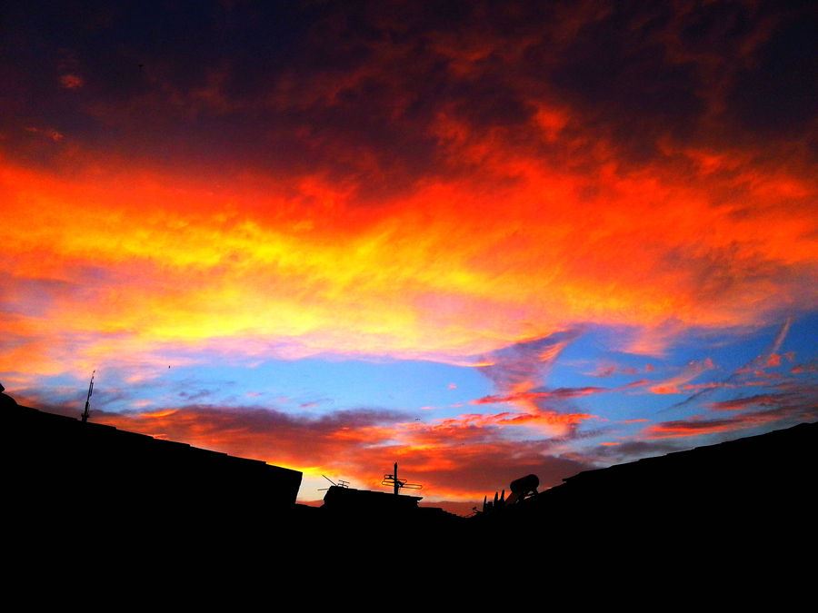 她永远是我的避风港