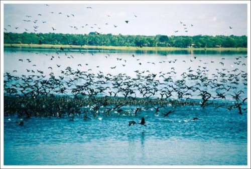 一场漫长的旅行