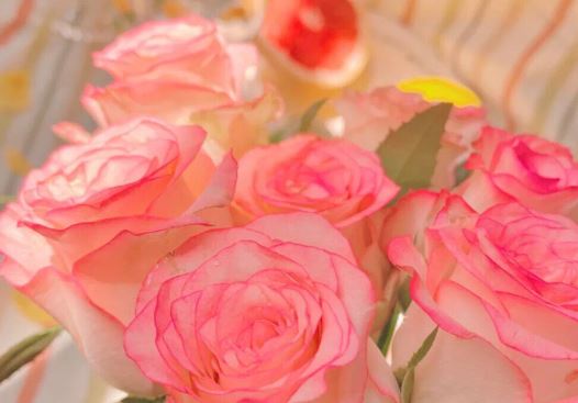 友谊芳香——一对永恒的好朋友