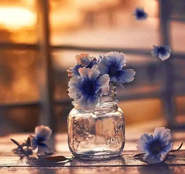 奋斗的人生最美丽