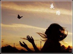 那个夜晚，那条街