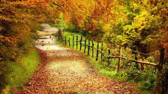 亲情，平凡而珍贵的力量