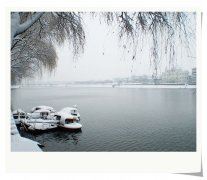 我把幸福告诉你