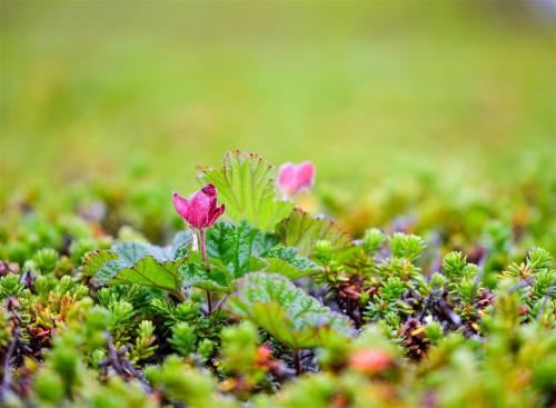 从一粒种子开始