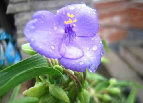 陪伴是最长情的告白