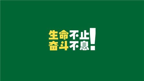 秋意渐浓:落叶飘舞的季节