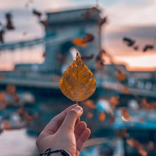 传承美德，做好身边的小事