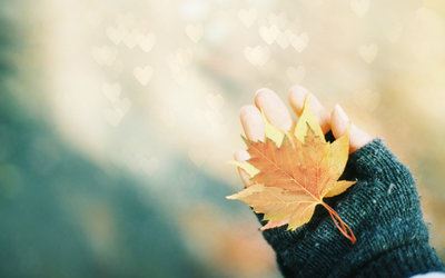 学习乐趣无穷:享受学习的喜悦