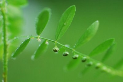 《幸福时光》谢陈散文集序言