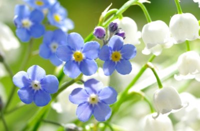 带上好心情回家