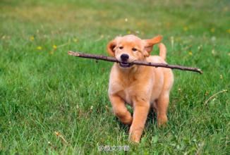 在2开头的年纪里