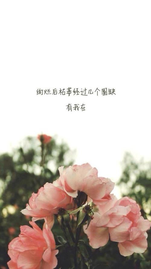 时光如梭，青春难再