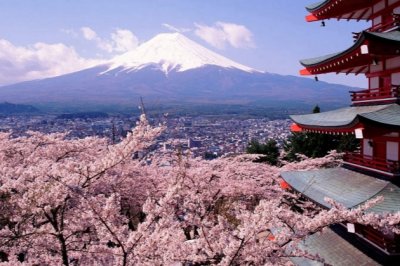 奇妙又美丽的旅程