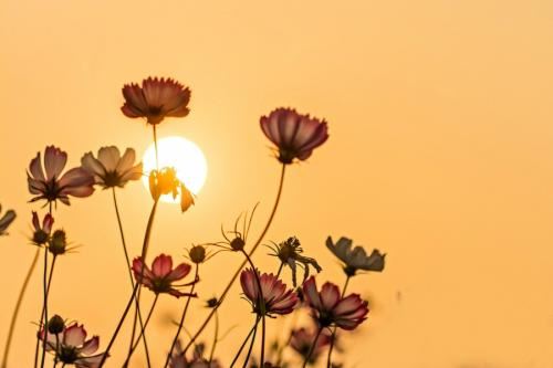 迷茫、热血、激情、坚持、成长、回忆